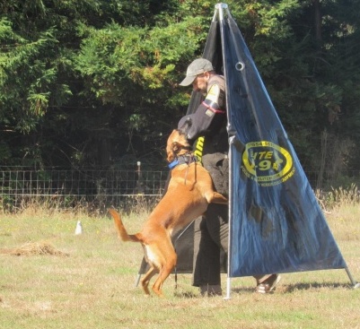 Dozer on taking a bite