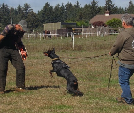 Craigm, Davia and Dan