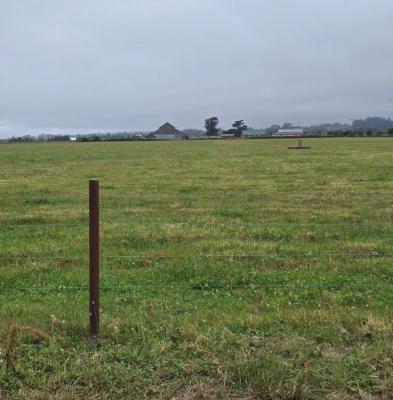 Tracking field
