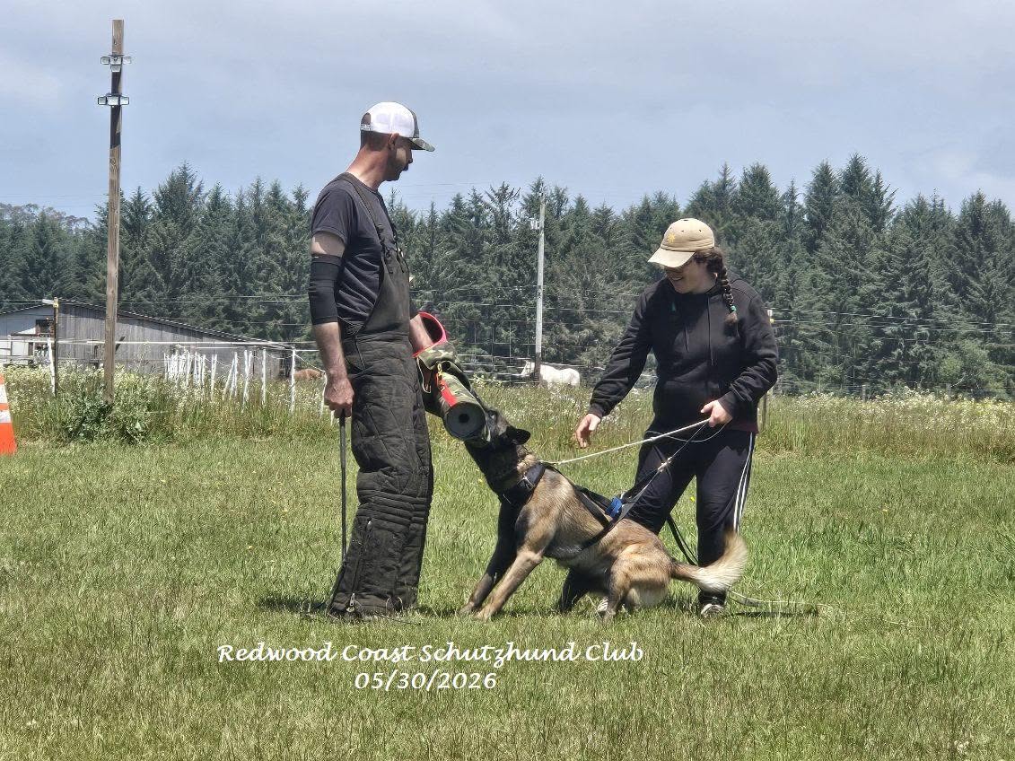 Training moment 6