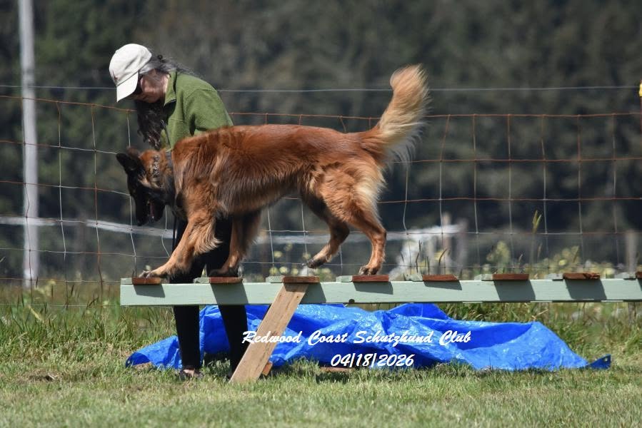 Training moment 8