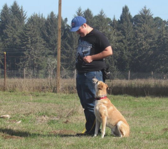 Griffin and Oscar Meyer