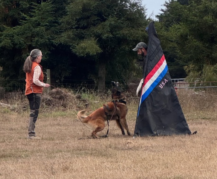Hana and Max working Bark and Hold with Helper Craig