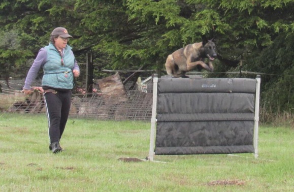 Allison and Cricket using the jump
