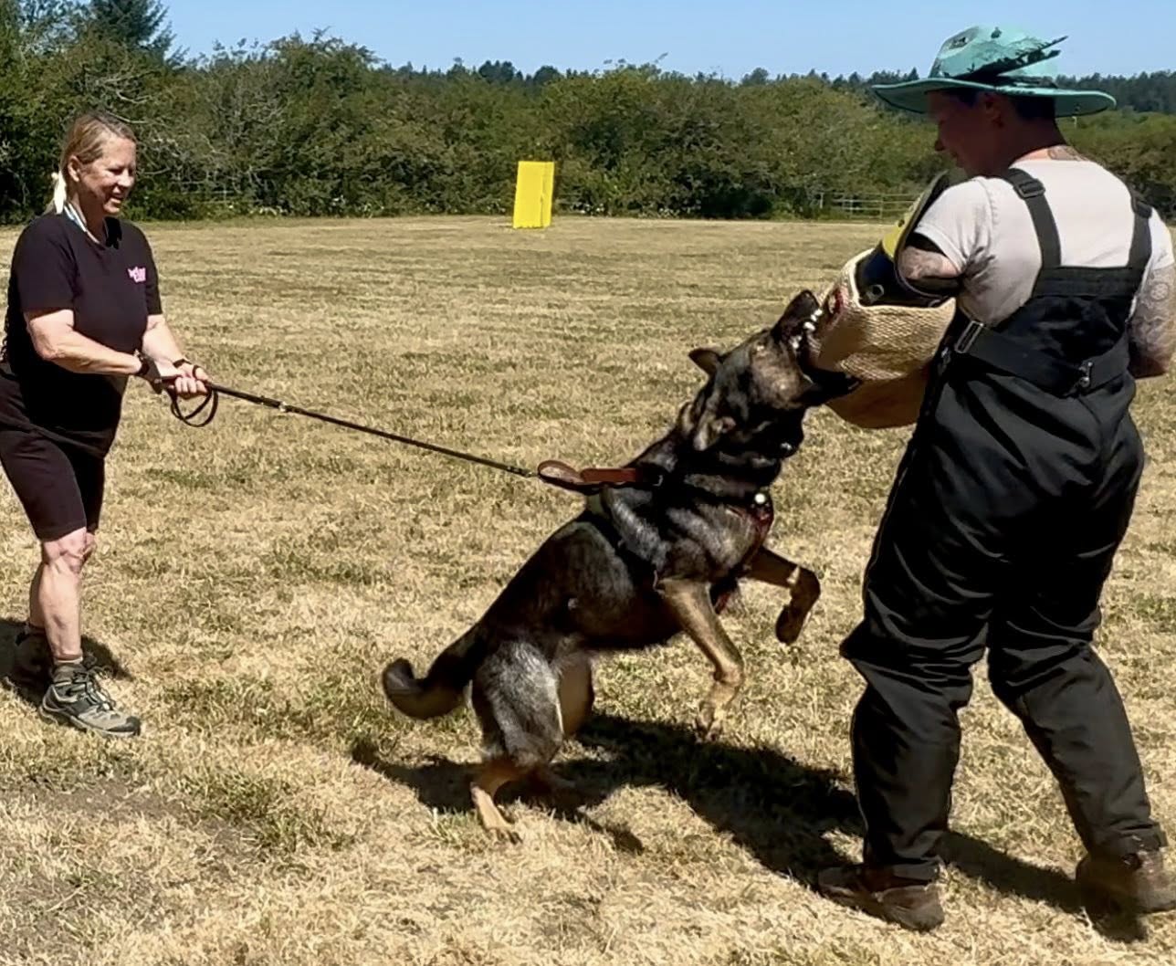 Protection work with Kim, Sophie and Natalie