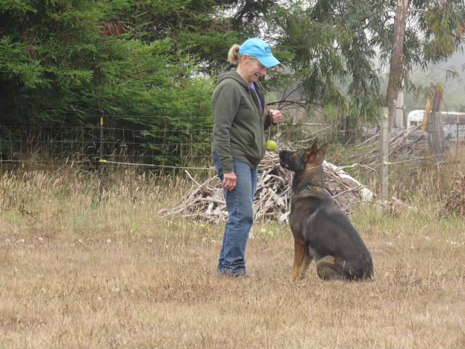Jane with Cosmo - Focus