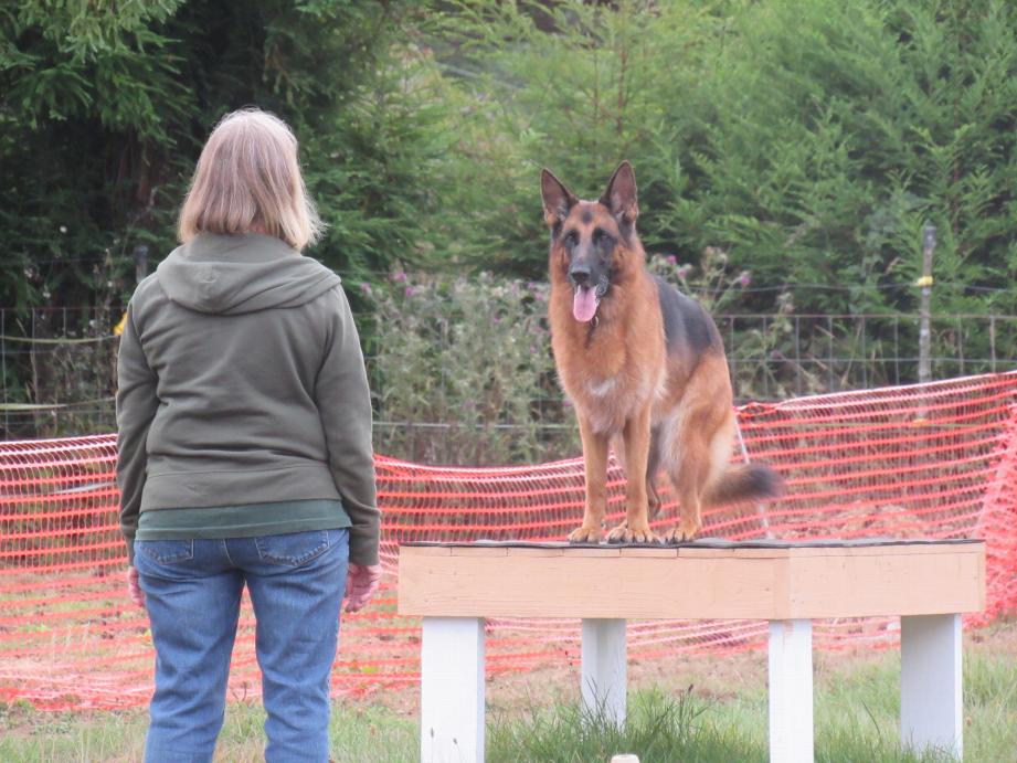 Jane working Nika in RH on the table