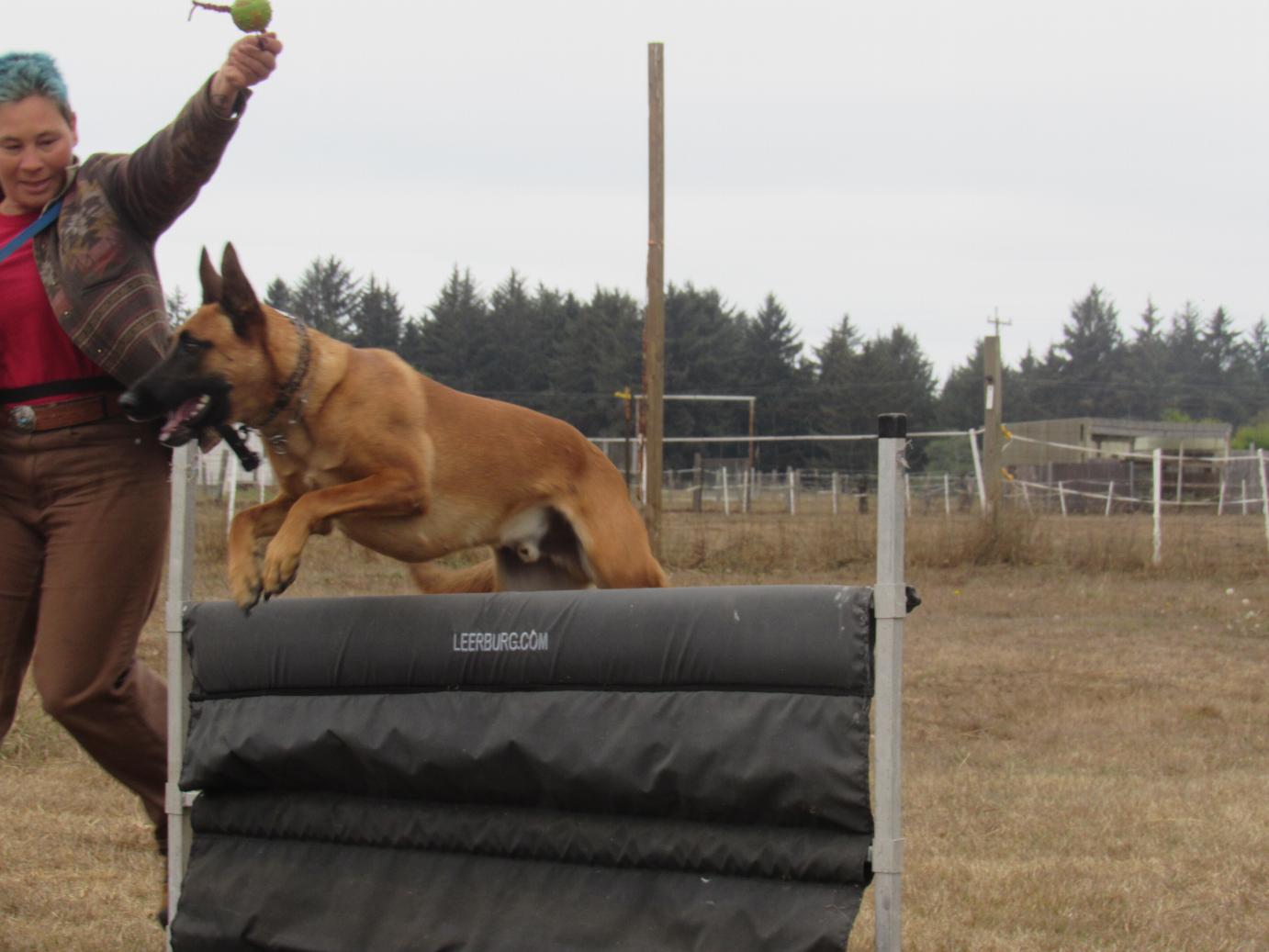 Natalie and Dozer going over the jump