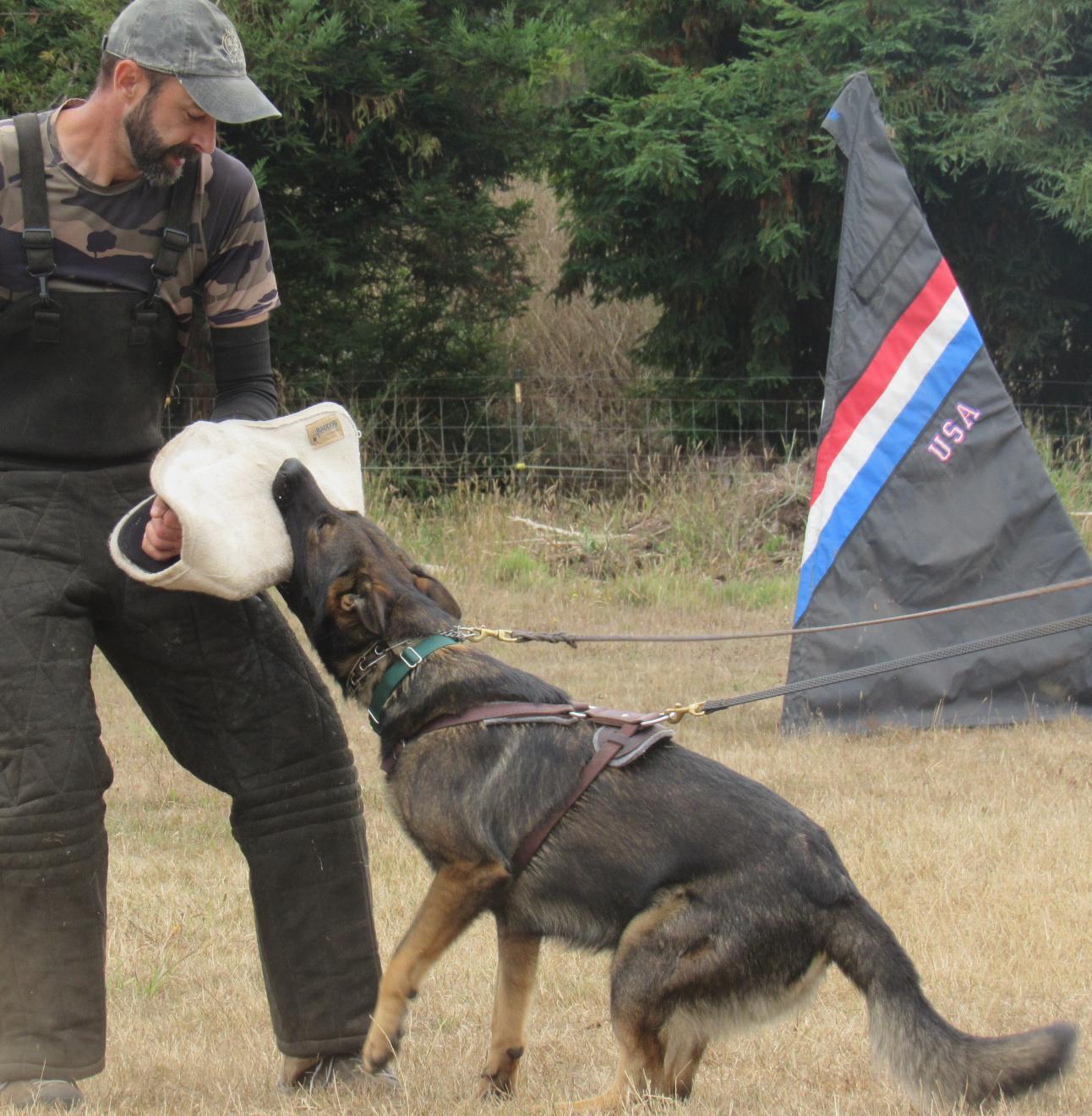 Craig working Cosmo on the sleeve