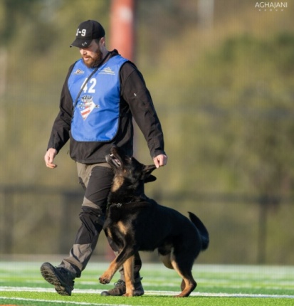 Schutzhund Kevin