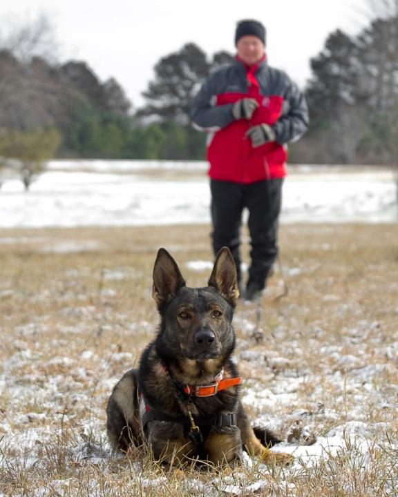 Stanley and Vitor tracking in snow