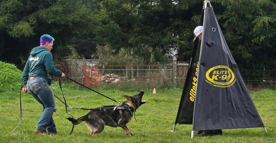 RCSC dog and handler working on the field