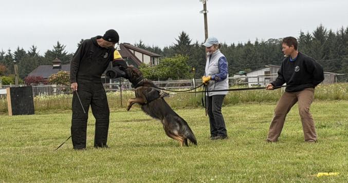 Training moment