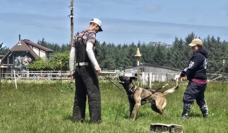 Training moment